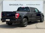 Ford F Series - fotka číslo 1