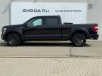 Ford F Series - fotka číslo 2