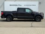 Ford F Series - fotka číslo 30