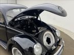 Volkswagen Ostatní - fotka číslo 17