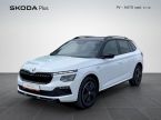 Škoda Kamiq - fotka číslo 0