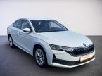 Škoda Octavia - fotka číslo 6