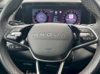 Škoda Kodiaq - fotka číslo 22