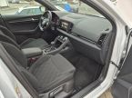 Škoda Karoq - fotka číslo 18