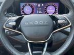 Škoda Kodiaq - fotka číslo 22