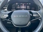 Škoda Kamiq - fotka číslo 21