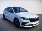 Škoda Scala - fotka číslo 6
