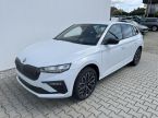 Škoda Scala - fotka číslo 0