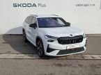 Škoda Kodiaq - fotka číslo 38