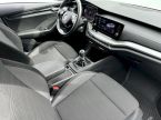 Škoda Octavia - fotka číslo 6