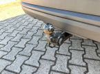 Škoda Karoq - fotka číslo 25