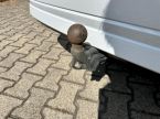 Škoda Octavia - fotka číslo 27