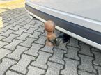 Škoda Octavia - fotka číslo 23