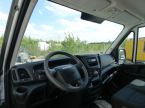 Iveco Daily - fotka číslo 8