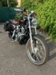 Harley-Davidson 1200 Sportster - fotka číslo 11