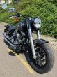Harley-Davidson Ostatní - fotka číslo 11