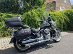 Harley-Davidson FLSTNI Softail Deluxe - fotka číslo 2