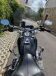 Harley-Davidson FLSTNI Softail Deluxe - fotka číslo 7