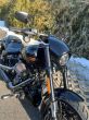 Harley-Davidson Softail - fotka číslo 12