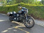 Harley-Davidson FLSB Softail Sport Glide - fotka číslo 0