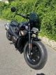 Harley-Davidson Ostatní - fotka číslo 10