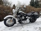 Harley-Davidson FLSTNI Softail Deluxe - fotka číslo 3