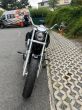 Harley-Davidson Softail - fotka číslo 6