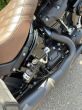 Harley-Davidson FXLRS Low Rider S - fotka číslo 11