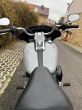 Harley-Davidson FLSB Softail Sport Glide - fotka číslo 8