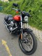 Harley-Davidson FXS 1600 Softail Blackline - fotka číslo 10