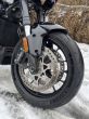 Harley-Davidson Pan America 1250 - fotka číslo 10