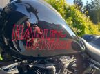 Harley-Davidson Ostatní - fotka číslo 10