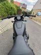 Harley-Davidson Ostatní - fotka číslo 8