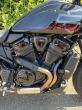 Harley-Davidson Pan America 1250 - fotka číslo 9
