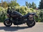 Harley-Davidson Pan America 1250 - fotka číslo 4