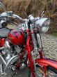 Harley-Davidson FXSTSSE3 CVO Softail Springer - fotka číslo 12