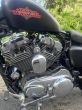 Harley-Davidson 1200 Sportster - fotka číslo 11