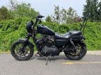 Harley-Davidson XL 1200N Sportster 1200 Nightste - fotka číslo 5