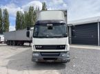 DAF LF - fotka číslo 1