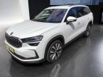 Škoda Kodiaq - fotka číslo 0