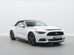 Ford Mustang - fotka číslo 8