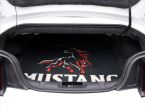 Ford Mustang - fotka číslo 9