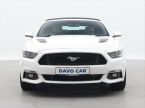Ford Mustang - fotka číslo 1