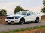 Ford Mustang - fotka číslo 2