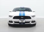 Ford Mustang - fotka číslo 1
