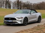 Ford Mustang - fotka číslo 2