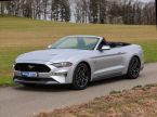 Ford Mustang - fotka číslo 10
