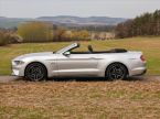 Ford Mustang - fotka číslo 11