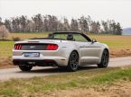 Ford Mustang - fotka číslo 14