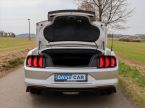 Ford Mustang - fotka číslo 16